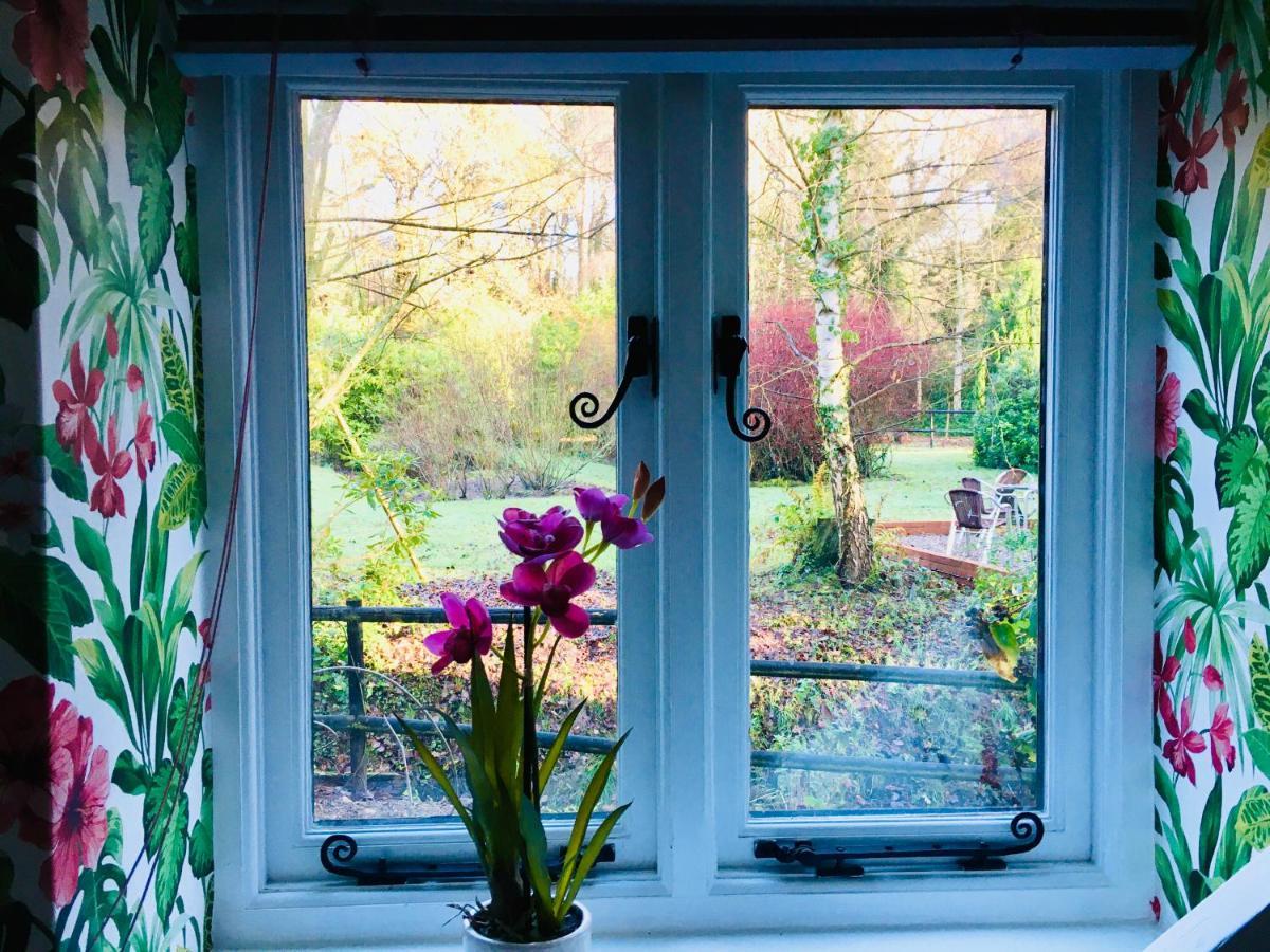 Felbrigg Lodge Bed And Breakfast Aylmerton エクステリア 写真